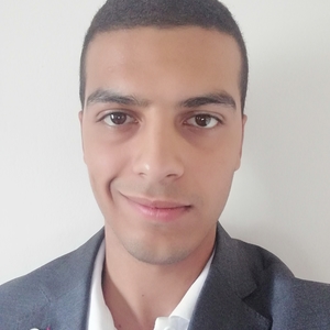 Imad - Prof de maths - Élancourt