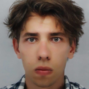 Denis - Prof de fle - français langue étrangère - Lyon