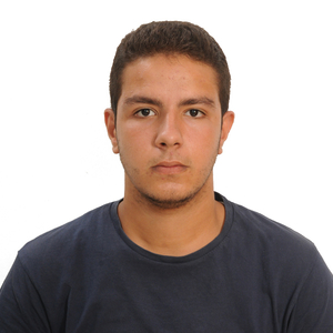 Nadjib - Prof de maths - Villeneuve-la-Garenne