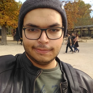 Tarek - Prof de maths - Gif-sur-Yvette