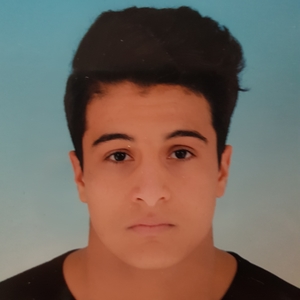 Ayoub - Prof de maths - Genève