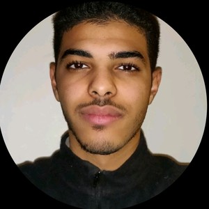 Bhija - Prof de programmation - Combs-la-Ville