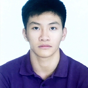 Vu Hai - Prof de physique - Châtenay-Malabry