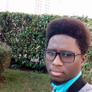MOUHAMADOU LAMINE - Prof de maths - Argenteuil