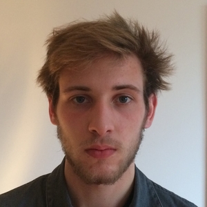 Maxime - Prof de maths - Montesson