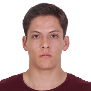 Shawn - Prof de maths - Villeurbanne
