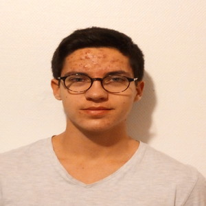 Rémi - Prof de maths - Toulouse