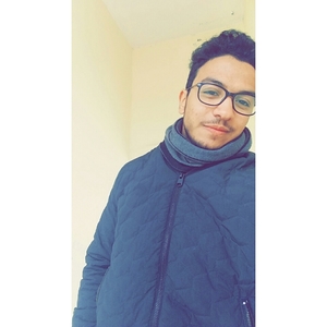 IMAD - Prof de maths - Lyon