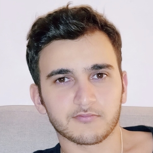 Mehdi - Prof de fle - français langue étrangère - Paris