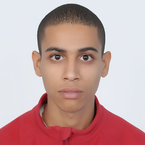 Mehdi - Prof de maths - Évry-Courcouronnes