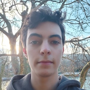 Tao - Prof de maths - Paris