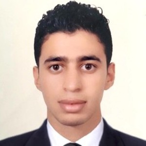 Hamza - Prof de maths - Orléans