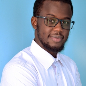 Cheikh ahmeth tidiane - Prof de français - Pantin