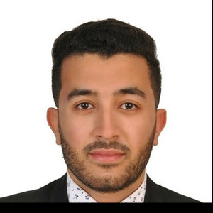 ELMEHDI - Prof de programmation - Toulouse