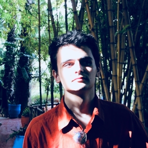 MATHIS - Prof de maths - Lyon