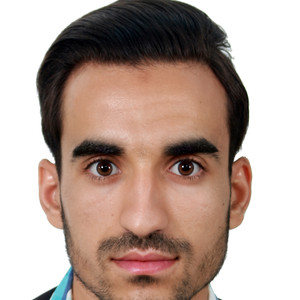 Fouad - Prof de maths - Bussy-Saint-Georges