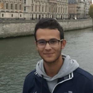 Ahmed - Prof de maths - Paris