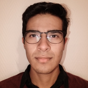 Joel - Prof de maths - Mons