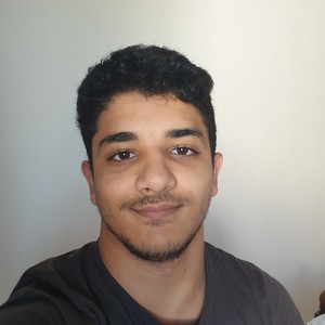 Tarek - Prof de physique - chimie - Rennes
