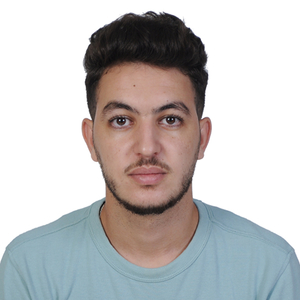 Hamza - Prof de maths - Limoges