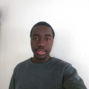 Erwin - Prof de maths - Angers
