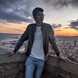 Romain - Prof de maths - Reims