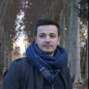 Tanguy - Prof de droit constitutionnel - Strasbourg