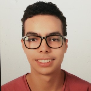 Mehdi - Prof de maths - Sevran