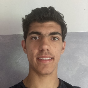 Ludovic - Prof de maths - Montpellier