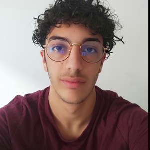 Mehdi - Prof de français - Tours