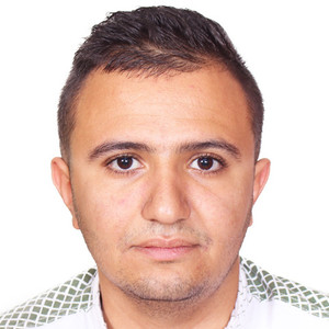 FAOUZI - Prof d'initiation informatique - Cachan