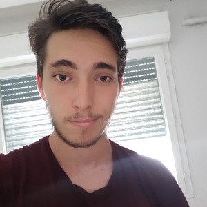 Thibaut - Prof de maths - Toulouse