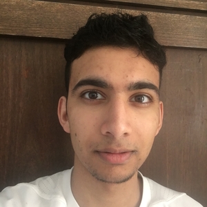 Aryan - Prof de fle - français langue étrangère - Brampton