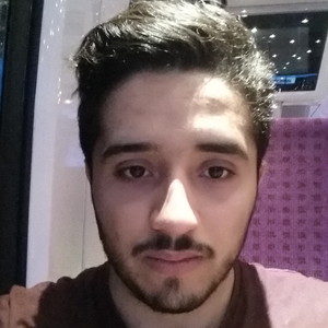 Mahmoud - Prof de physique - Orly