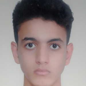 Amine - Prof de maths - Trappes