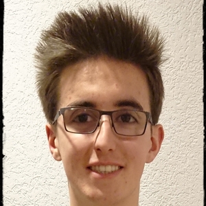 François - Prof de maths - Villeurbanne