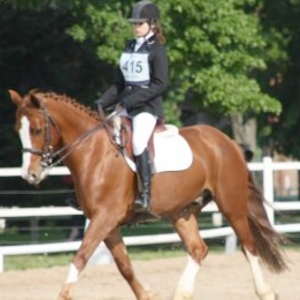 Jocya - Prof d'équitation - Troyes