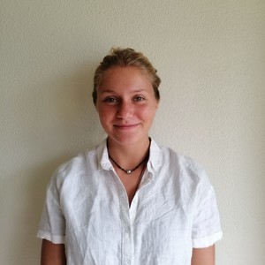Irn - Prof de maths - Gif-sur-Yvette
