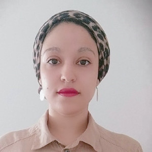 NEKAA - Prof de réseaux informatiques - Cesson-Sévigné