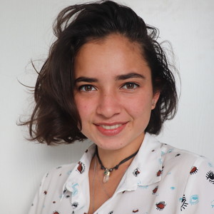 Luna - Prof de préparation brevet - Castelnau-le-Lez