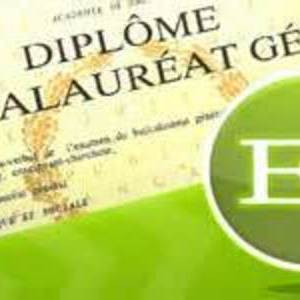 Emilie - Prof d'aide aux devoirs - Wassy