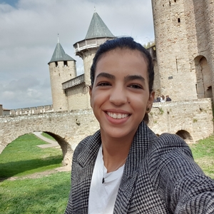 Amal - Prof de maths - Toulouse
