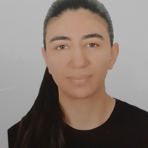 LINA - Prof de maths - Aulnoy-lez-Valenciennes