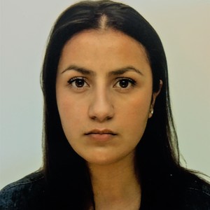 Dijle - Prof d'économie - Sarcelles