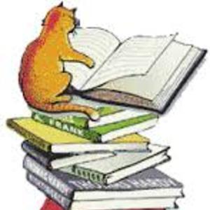 Itaf - Prof d'aide aux devoirs - Paris