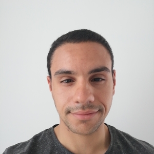 Diogo - Prof de compréhension écrite - portugais - Malakoff