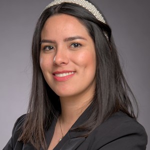Rosales - Prof d'espagnol - Lille