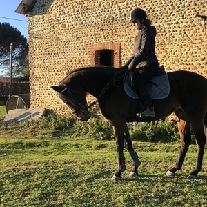 Léa - Prof d'équitation - Abère