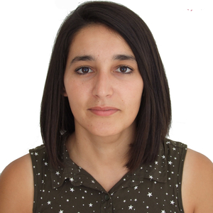 Halis - Prof de compréhension orale - arabe - Le Plessis-Robinson