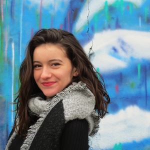 Flore - Prof de maths - Tullins